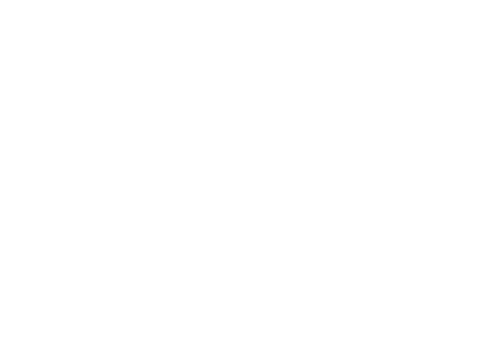 (THISIS)SHIZEN